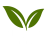 al imran