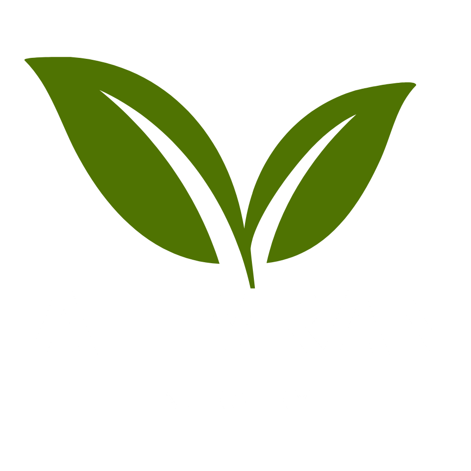 al imran